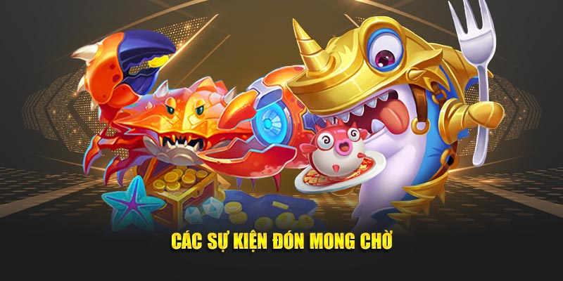 Các sự kiện đón mong chờ