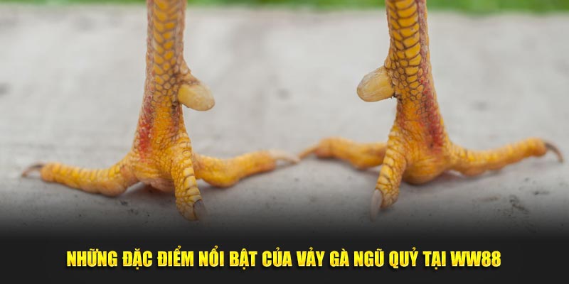 Những đặc điểm nổi bật của vảy gà ngũ quỷ tại WW88