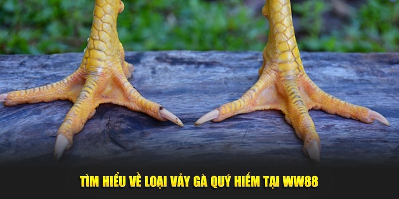 Tìm hiểu về loại vảy quý hiếm tại WW88